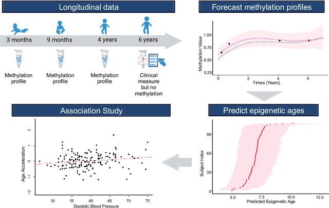Figure 1 for Longitudinal prediction of DNA methylation to forecast epigenetic outcomes