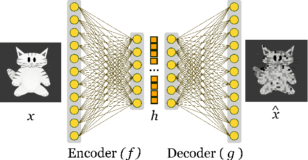 Figure 2 for Deep representation learning: Fundamentals, Perspectives, Applications, and Open Challenges