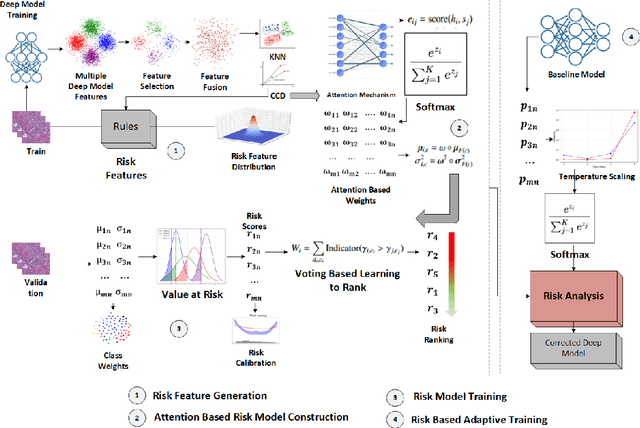 Figure 1 for Adaptive Deep Learning for Multiclass Breast Cancer Classification via Misprediction Risk Analysis