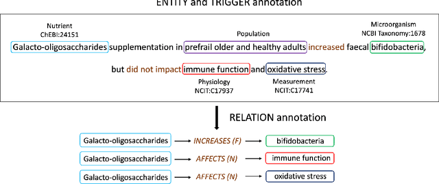 Figure 1 for DiMB-RE: Mining the Scientific Literature for Diet-Microbiome Associations