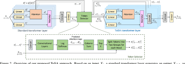 Figure 3 for ToSA: Token Selective Attention for Efficient Vision Transformers