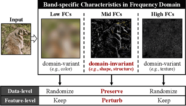 Figure 1 for FACL-Attack: Frequency-Aware Contrastive Learning for Transferable Adversarial Attacks