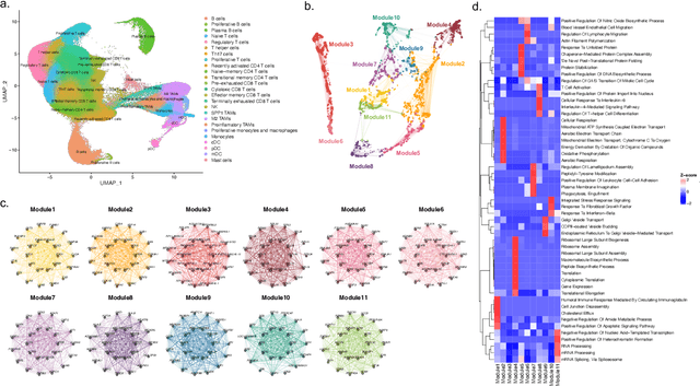 Figure 3 for Pan-cancer gene set discovery via scRNA-seq for optimal deep learning based downstream tasks