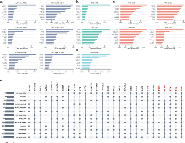 Figure 4 for Pan-cancer gene set discovery via scRNA-seq for optimal deep learning based downstream tasks