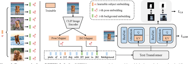 Figure 3 for Decoupled Textual Embeddings for Customized Image Generation