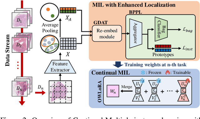 Figure 3 for Continual Multiple Instance Learning with Enhanced Localization for Histopathological Whole Slide Image Analysis