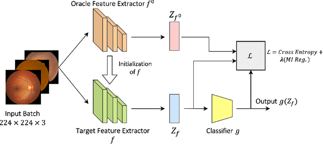 Figure 1 for DGM-DR: Domain Generalization with Mutual Information Regularized Diabetic Retinopathy Classification