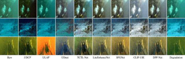 Figure 3 for DPF-Net: Physical Imaging Model Embedded Data-Driven Underwater Image Enhancement