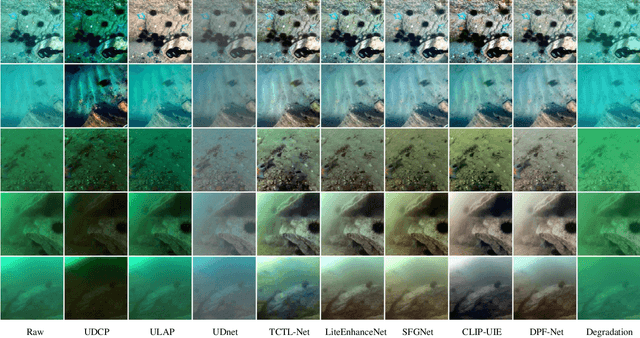 Figure 4 for DPF-Net: Physical Imaging Model Embedded Data-Driven Underwater Image Enhancement
