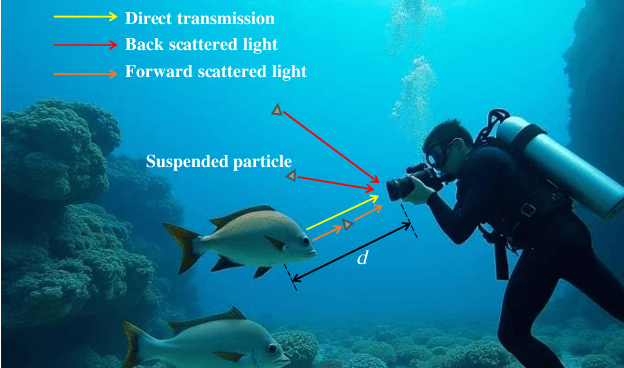 Figure 1 for DPF-Net: Physical Imaging Model Embedded Data-Driven Underwater Image Enhancement
