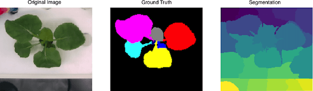 Figure 3 for A Labeled Array Distance Metric for Measuring Image Segmentation Quality
