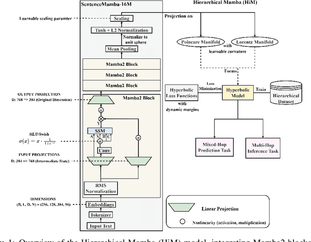 Figure 1 for Hierarchical Mamba Meets Hyperbolic Geometry: A New Paradigm for Structured Language Embeddings