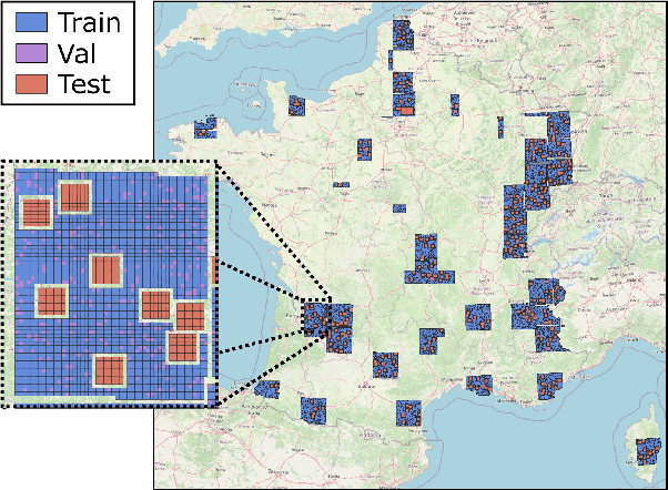 Figure 1 for SERA-H: Beyond Native Sentinel Spatial Limits for High-Resolution Canopy Height Mapping
