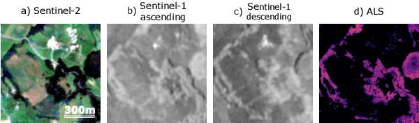 Figure 3 for SERA-H: Beyond Native Sentinel Spatial Limits for High-Resolution Canopy Height Mapping