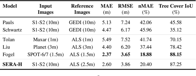 Figure 4 for SERA-H: Beyond Native Sentinel Spatial Limits for High-Resolution Canopy Height Mapping