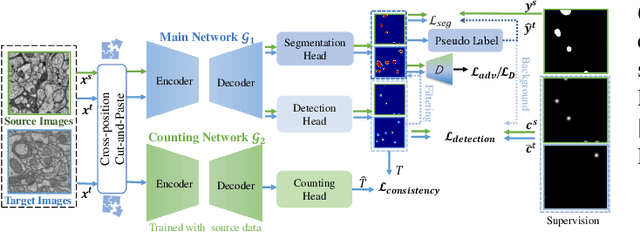 Figure 3 for WDA-Net: Weakly-Supervised Domain Adaptive Segmentation of Electron Microscopy