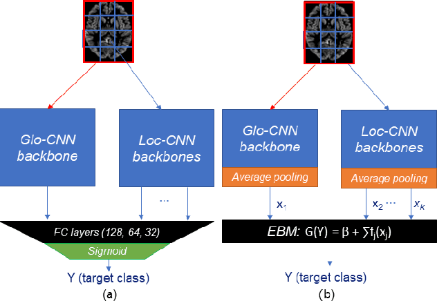 Figure 1 for GL-ICNN: An End-To-End Interpretable Convolutional Neural Network for the Diagnosis and Prediction of Alzheimer's Disease