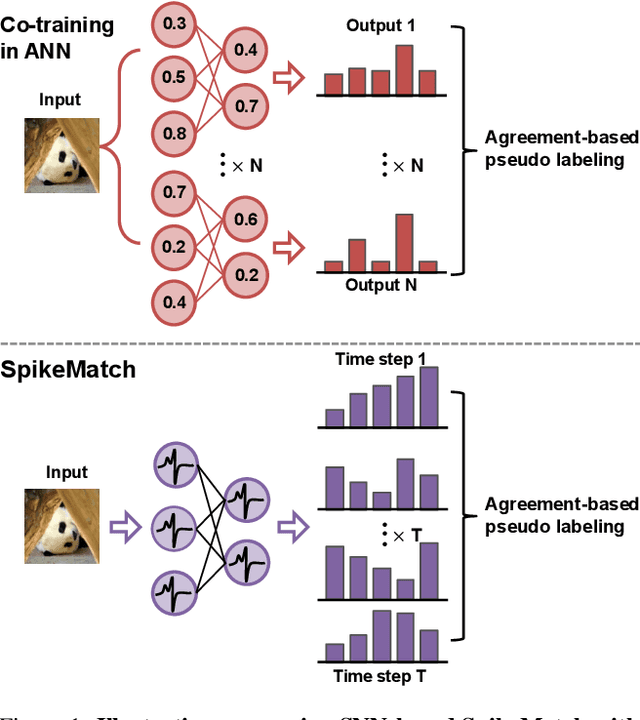 Figure 1 for SpikeMatch: Semi-Supervised Learning with Temporal Dynamics of Spiking Neural Networks