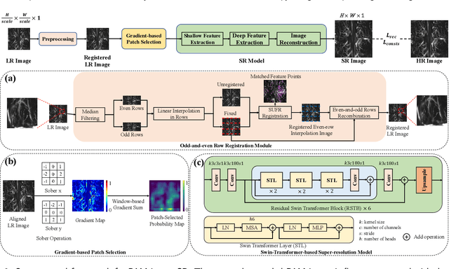 Figure 3 for Super-Resolution on Rotationally Scanned Photoacoustic Microscopy Images Incorporating Scanning Prior
