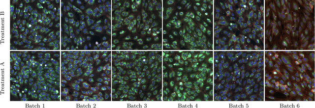Figure 4 for Metadata-guided Consistency Learning for High Content Images