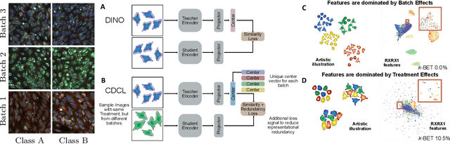 Figure 1 for Metadata-guided Consistency Learning for High Content Images