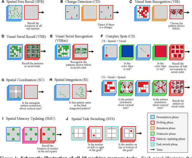 Figure 1 for Decoding the Enigma: Benchmarking Humans and AIs on the Many Facets of Working Memory
