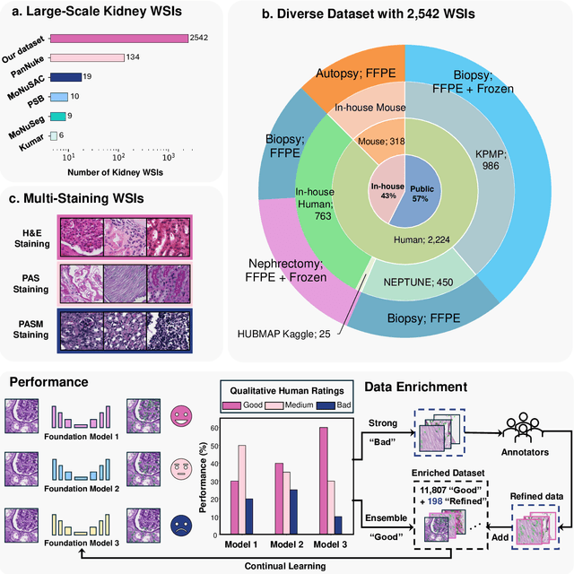 Figure 1 for How Good Are We? Evaluating Cell AI Foundation Models in Kidney Pathology with Human-in-the-Loop Enrichment