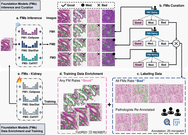 Figure 3 for How Good Are We? Evaluating Cell AI Foundation Models in Kidney Pathology with Human-in-the-Loop Enrichment