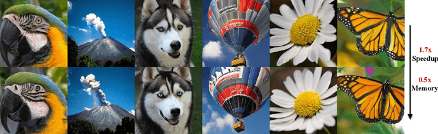 Figure 3 for Collaborative Decoding Makes Visual Auto-Regressive Modeling Efficient