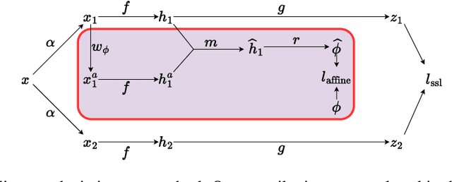 Figure 3 for Affine transformation estimation improves visual self-supervised learning