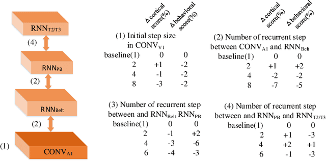 Figure 3 for BAN: Neuroanatomical Aligning in Auditory Recognition between Artificial Neural Network and Human Cortex