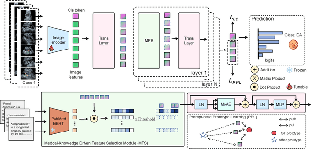 Figure 3 for Medical-Knowledge Driven Multiple Instance Learning for Classifying Severe Abdominal Anomalies on Prenatal Ultrasound