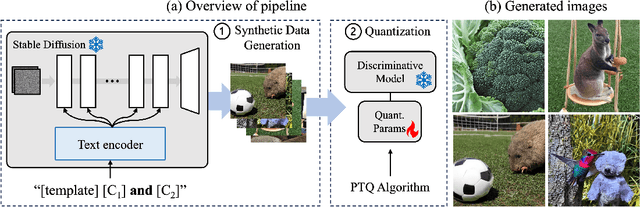 Figure 3 for Enhancing Generalization in Data-free Quantization via Mixup-class Prompting