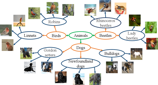 Figure 1 for Improving Hyperbolic Representations via Gromov-Wasserstein Regularization