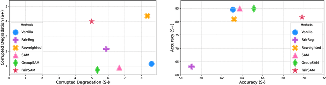 Figure 1 for FairSAM: Fair Classification on Corrupted Data Through Sharpness-Aware Minimization