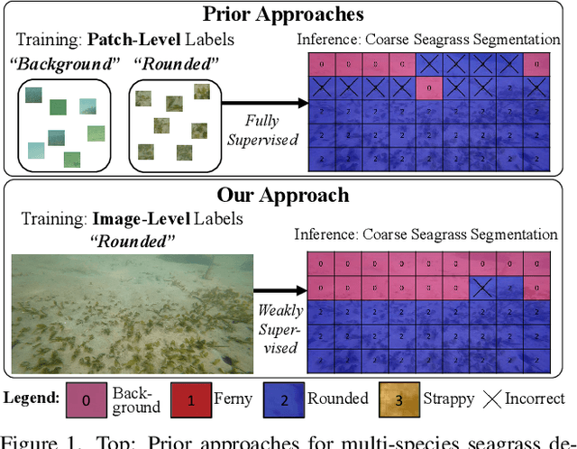 Figure 1 for Image Labels Are All You Need for Coarse Seagrass Segmentation