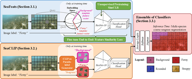 Figure 2 for Image Labels Are All You Need for Coarse Seagrass Segmentation