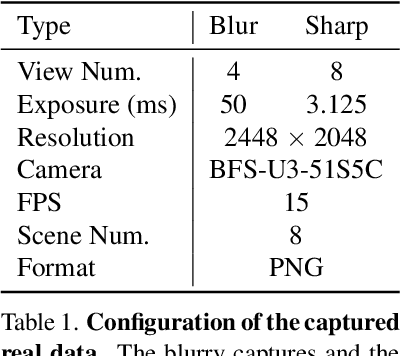 Figure 2 for Bundle Adjusted Gaussian Avatars Deblurring
