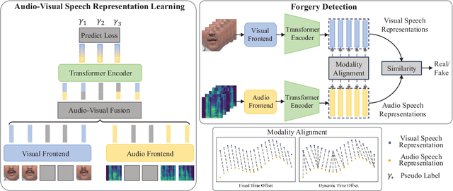 Figure 1 for SpeechForensics: Audio-Visual Speech Representation Learning for Face Forgery Detection