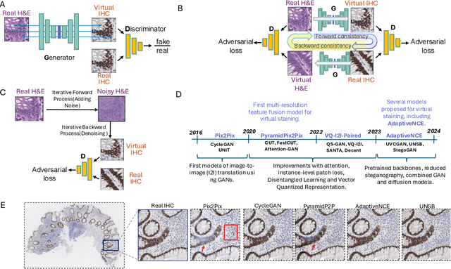 Figure 3 for Building Trust in Virtual Immunohistochemistry: Automated Assessment of Image Quality