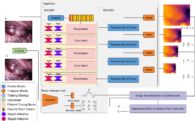 Figure 1 for Towards Full-parameter and Parameter-efficient Self-learning For Endoscopic Camera Depth Estimation