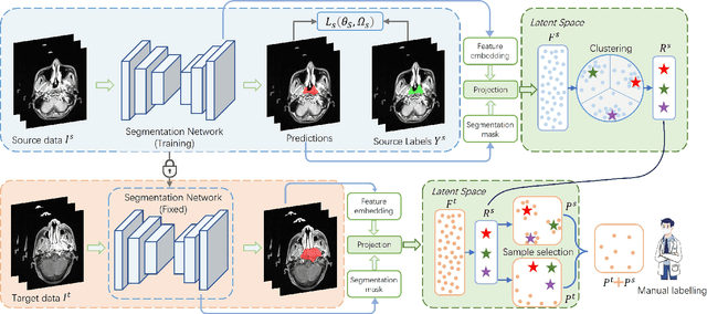 Figure 2 for Dual-Reference Source-Free Active Domain Adaptation for Nasopharyngeal Carcinoma Tumor Segmentation across Multiple Hospitals
