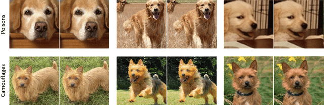 Figure 3 for Hidden Poison: Machine Unlearning Enables Camouflaged Poisoning Attacks