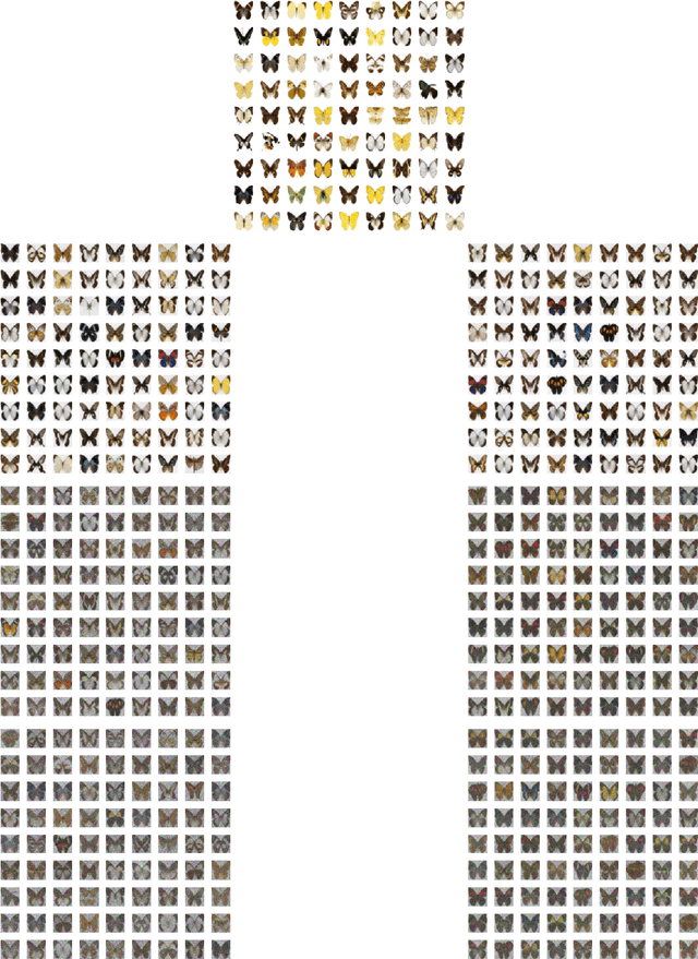 Figure 4 for Regularization can make diffusion models more efficient