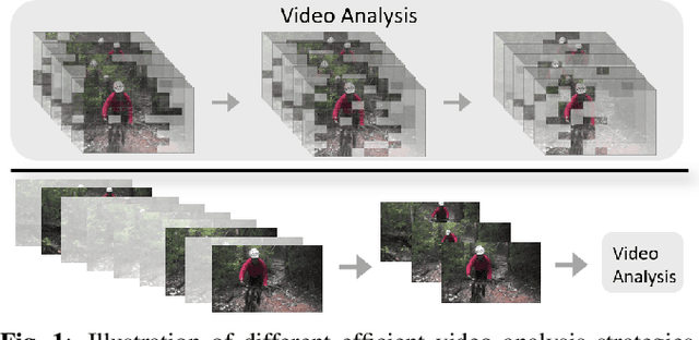 Figure 1 for HaltingVT: Adaptive Token Halting Transformer for Efficient Video Recognition
