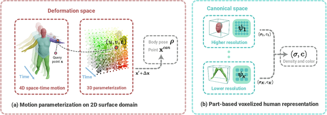 Figure 2 for Learning Neural Volumetric Representations of Dynamic Humans in Minutes