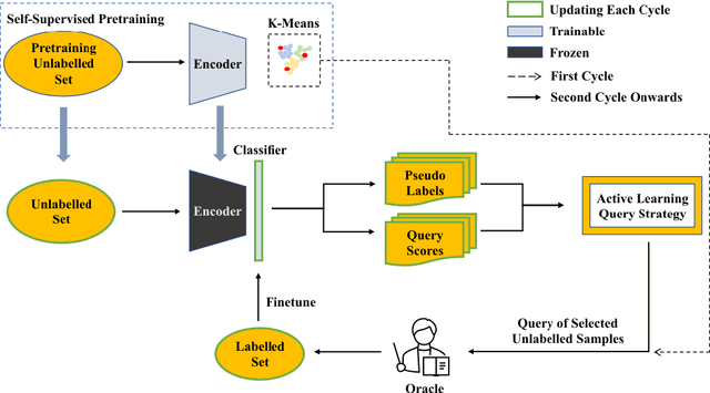 Figure 1 for MyriadAL: Active Few Shot Learning for Histopathology