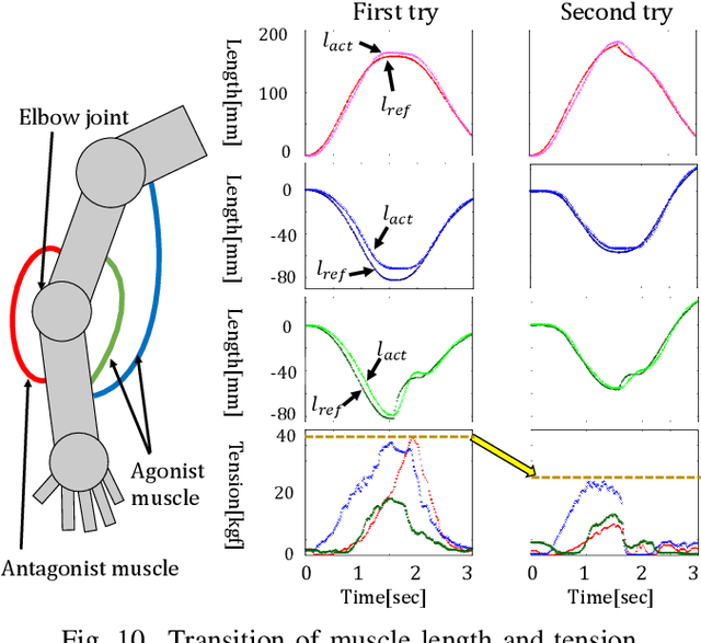 Figure 2 for Modification of muscle antagonistic relations and hand trajectory on the dynamic motion of Musculoskeletal Humanoid