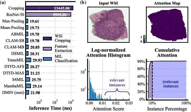 Figure 1 for Fast and Accurate Gigapixel Pathological Image Classification with Hierarchical Distillation Multi-Instance Learning
