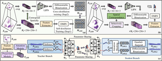 Figure 3 for Fast and Accurate Gigapixel Pathological Image Classification with Hierarchical Distillation Multi-Instance Learning